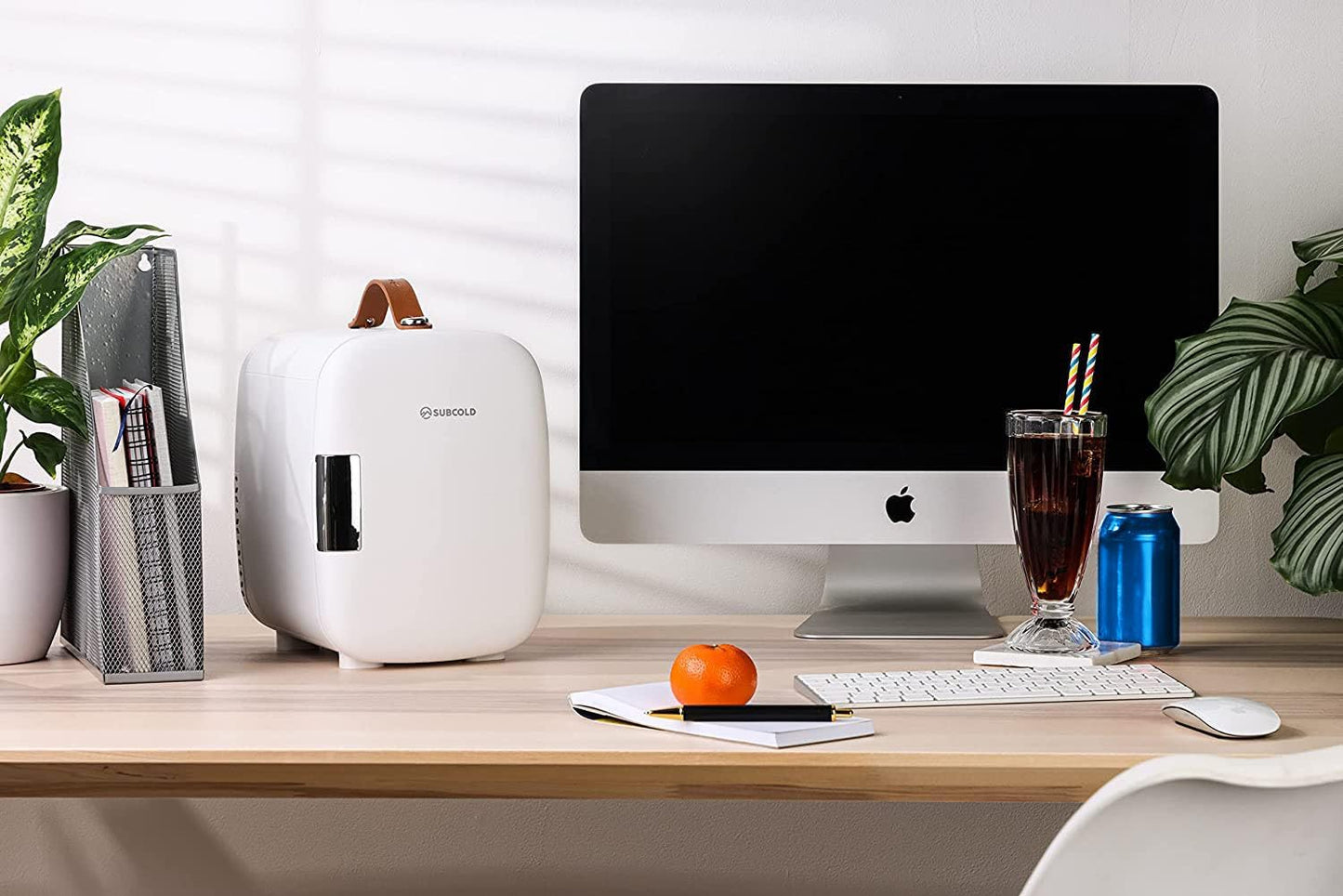 Pro4 Luxury Mini Fridge Cooler | 4 Litre / 6 Cans | AC and Exclusive USB Power Option | Portable Small Fridge for the Office, Bedroom, Car, Travel, Skincare & Cosmetics (White)